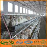 Chicken laying cage for sale (manufacturer, sell12@innaer.com)