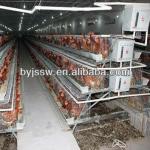 Automatic Poultry Layer Cages System
