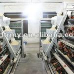 Automatic poultry equipment for layer coop