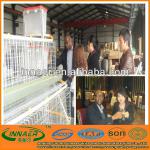 INNAER chicken cages factory supply high quality poultry layer cages for chickens 0086-18231821782