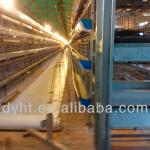 good quality automatic battery cage laying hens