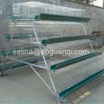 chicken farm equipment,automatic hot-dipped/electric galvanized chicken cage