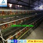 3 tier semi Automatic egg laying hen cage semi automated chicken/ladder layer type cage