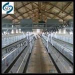 Long time working automatic poultry farm equipment