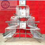 China factory supply high quality Cooling pad system chicken layer Cage/full-automation chicken layer Cage/Auto Feeding System E