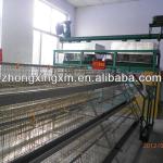 automatic cage system for layer chicken