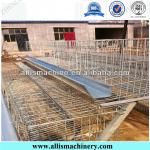 Automatic H type Broiler Chicken Cage Design