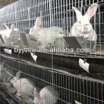 Rabbit Breeding Cage Kenya Wholesale