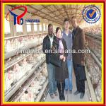 2013Hot-sale!poultry equipment for chickens (21years factory)