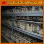 chicken farm design in Southeast Asia