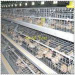 A-type Hot Galvanized Pullet Chicken Cage