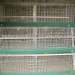 2013 Best-Selling Chicken breeding cage,Broiler cage
