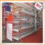 Best selling good quality new design H type automatic chicken poultry equipment cage