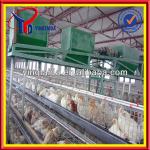 2013 Hot-sale! poultry farm design for chickens(21years factory)