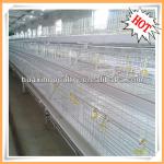 fully automatic corrsion resistant poultry house for chicken
