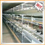 2013 hot-sale good quality new design automatic poultry layer cage
