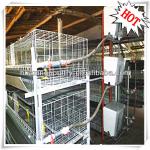 factory direct manurefacture good quality cheap poultry farm battary bird cage for chicken