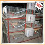 2013 new design hot-sale automatic chicken poultry farm equipment