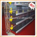 competitive price newest design layer chicken cages for birds