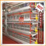 Hot-selling professional design layer poultry cage for Kenya farm