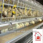 Cage For Growing Broiler(China factory)