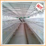 2013 hot sale high quality broiler cages for Nigeria farm