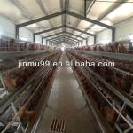 poultry farm layer cage in South America