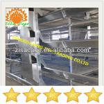 zisa high quality automatic feeder chicken layer cage /broiler cage