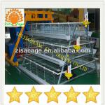 automatic feeder chicken layer cage /broiler cage
