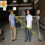 serious manufacture of 3 layer 4cells cage farm poultry cages chcken cage