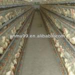 high quality cheap chicken rearing cage