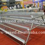 Automatic drinking/feeding battery cage laying hens