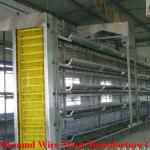 H Type Layer Cage/Layer coop/Chicken Cage