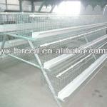 Automatic A type Chicken Cage System