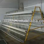 Zambia/Lusaka Poultry Cage for 15,000 layers birds hens