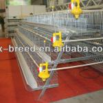 China leading factory Battery Cages for Lagos 15,000 birds