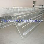 Large scale project Poultry Farm Equipment to Nigeria/Africa
