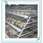 2013 new design automatic pullet chicken cage
