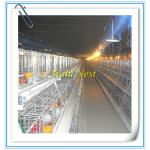 Poultry chicken cage for broiler