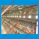 China manufacturer Chicken Broiler Poultry Cages