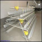 design poultry layer cage