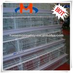new design professional poultry cages for layer chicken