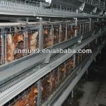 Industry-specific:supply poultry battery cages(automatic)quality guarantee