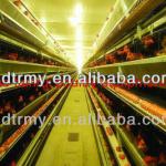 Export standard layer chicken poultry battery cage