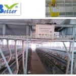 Best selling BT factory A-128 poultry chicken farm(Welcome to Visit my factory)