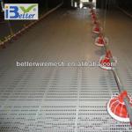 BT factory poultry chicken farm for broiler chicken