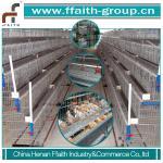 good selling high quality broiler cage system with hot dip galvanized