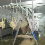 Hot sale chiken slaughtering machine poultry slaughtering equipment