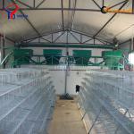 Best Quality! Low Price! Quail cage