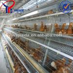 Professional High Quality Design Layer Chicken Cages